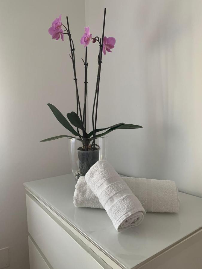 Rua Dos Concheiros, 7 Apartamento Santiago de Compostela Ngoại thất bức ảnh